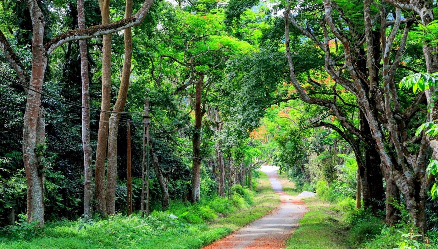 Cảnh đẹp Đồng Nai 4